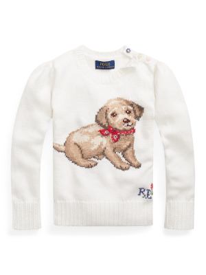 Dog Cotton Sweater