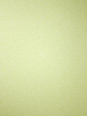 Sample Oriole Wallpaper In Green From The Persian Garden Collection By Osborne & Little