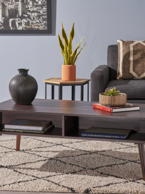 Azzura Mid Century Modern Coffee Table - Christopher Knight Home