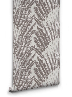 Feather Palm Wallpaper In Rock Face From The Kingdom Home Collection By Milton & King