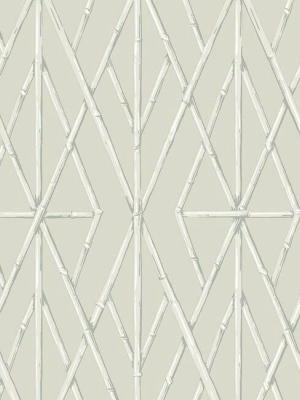 Riviera Bamboo Trellis Wallpaper In Sand From The Water's Edge Collection By York Wallcoverings