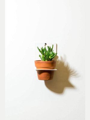 Sheet Metal Wall Planter White