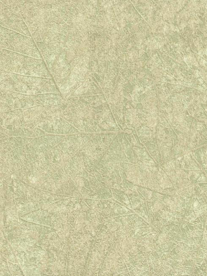 Tossed Leaves Wallpaper In Pale Green And Neutrals Design By York Wallcoverings