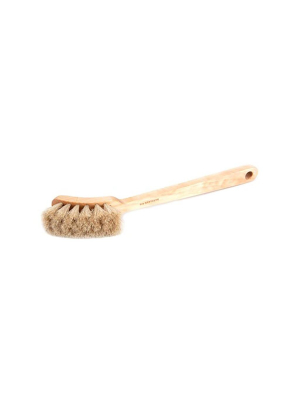 Dish Brush