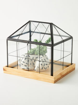 Mini Greenhouse Terrarium