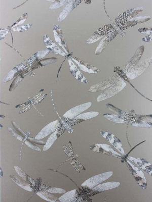 Sample Dragonfly Dance Wallpaper In Gray From The Samana Collection By Matthew Williamson