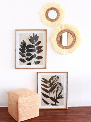 Leaf Art Framed Print Set