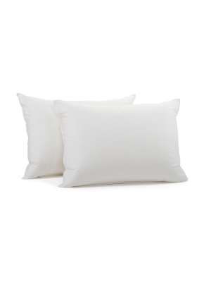Organic Down Pillow Insert Standard