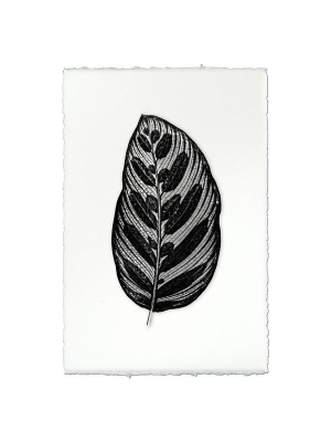 Leaf Print "striped"