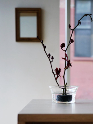 Flower Frog Holder