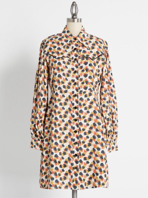 Westerly Wanderings Shirt Dress