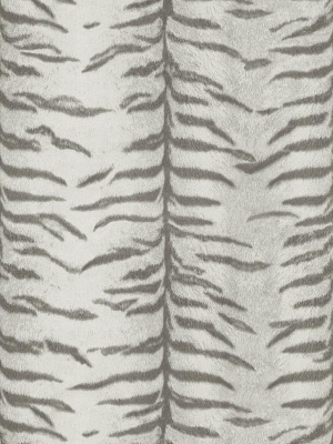 Tiger Pattern Wallpaper In Grey Design By Bd Wall