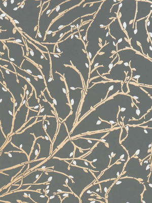 Twiggy Wallpaper In Black And Gold From The Folium Collection By Osborne & Little