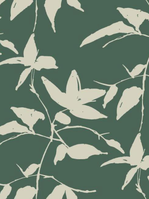 Persimmon Leaf Wallpaper In Dark Green From The Tea Garden Collection By Ronald Redding For York Wallcoverings