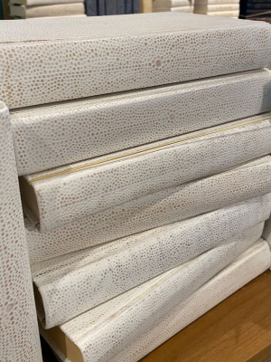 White Shagreen Books Set