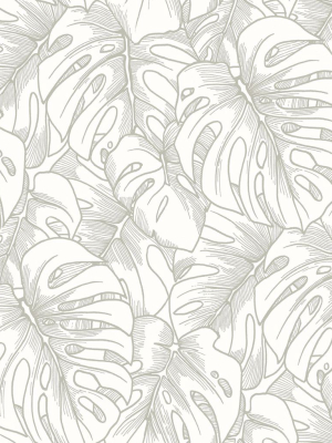 Balboa Botanical Wallpaper In Silver From The Scott Living Collection By Brewster Home Fashions