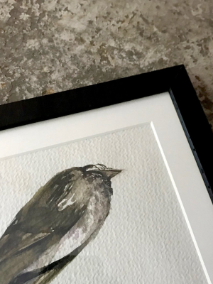 Olga Sears Bird Painting #1