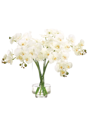 Faux White Orchids