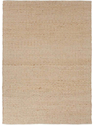 Andes Braidley Stone Area Rug