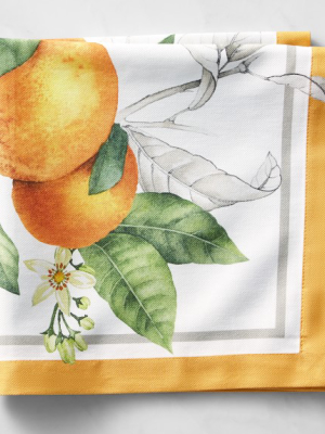 Citron Napkins, Set Of 4