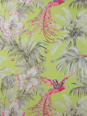 Bird Of Paradise Wallpaper In Multi-color From The Samana Collection By Matthew Williamson