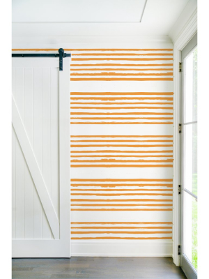 Stripe On Stripe Clementine Wallpaper