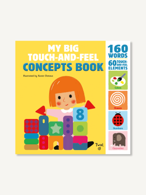 My Big Touch-and-feel Concepts Book