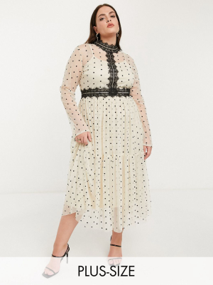 Lace & Beads Plus Long Sleeve Polka Dot Midi Dress With Lace Inserts In Cream And Black