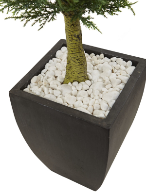 4.5' Cypress Topiary With Black Planter, Uv Resistant (indoor/outdoor) - Nearly Natural