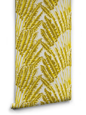 Feather Palm Wallpaper In Golden Palm From The Kingdom Home Collection By Milton & King