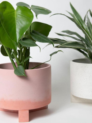 Pretti.cool Large Planter With Base - Pink & Coral