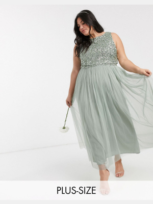 Maya Plus Bridesmaid Sleeveless Midaxi Tulle Dress With Tonal Delicate Sequin Overlay In Sage Green