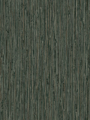 Grasscloth Texture Wallpaper In Pine From The Exclusives Collection By Graham & Brown