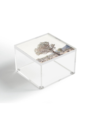 Bree Madden Desert Light Acrylic Box - Deny Designs