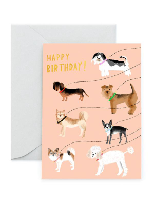 Out For A Walk Birthday Card