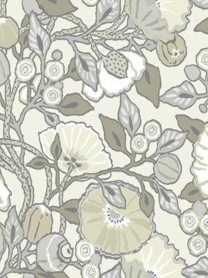 Vincent Poppies Wallpaper In Grey From The Conservatory Collection By York Wallcoverings