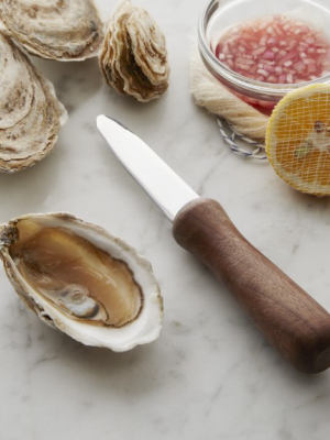 Williams Sonoma Oyster Knife