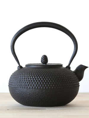 Kurikuchi Cast Iron Kettle