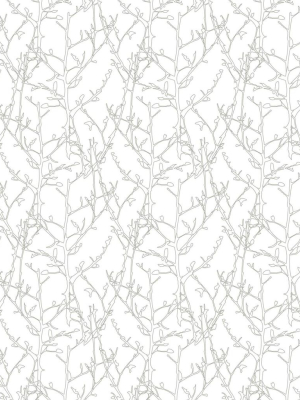 Twigs Wallpaper From The Wallpaper Republic Collection By Milton & King