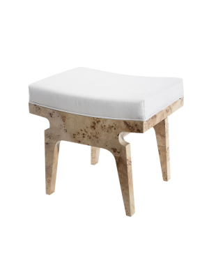 Fergie Stool Burl Wood