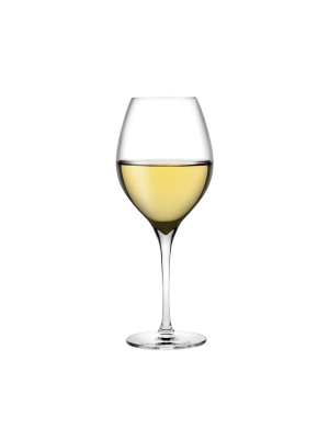 Vinifera Set Of 2 White Wine Glasses 360 Cc