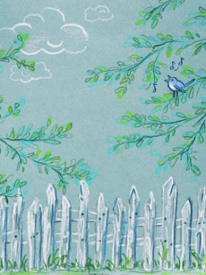 Bluebirds The Word