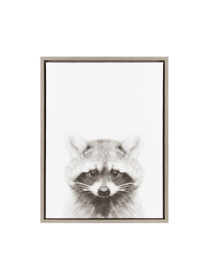 Raccoon Framed Canvas Art Gray (24"x18") - Uniek