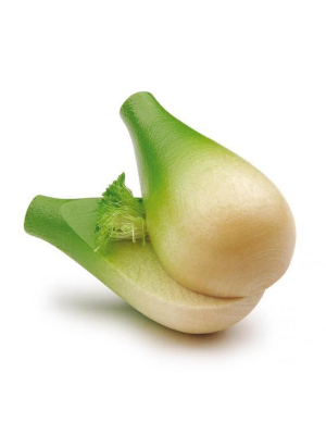 Fennel Bulb