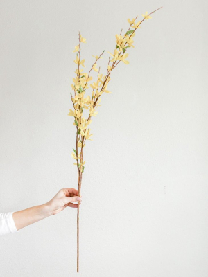 Artificial Forsythia Branch In Yellow - 38"