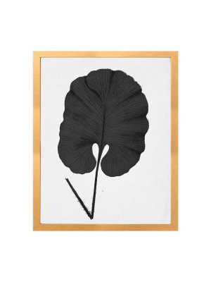 Blanc & Noir Leaf C