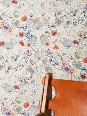 Anthropologie Sketched Songbird Wallpaper