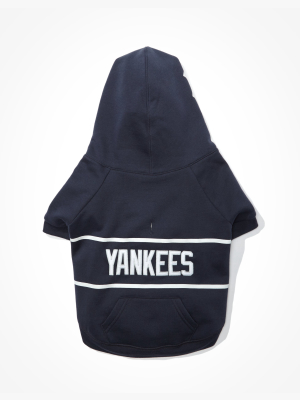 Abo Ny Yankees Pet Sweater