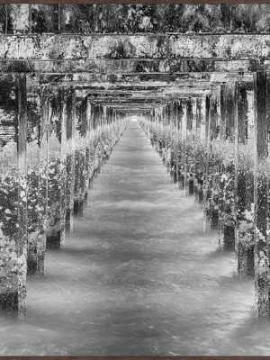 Beneath The Berkeley Pier