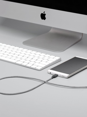 Belt Cable Xl (usb-a To Usb-c)